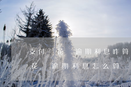 支付寶花唄逾期利息咋算(支付寶螞蟻借唄和花唄逾期利息怎么算)