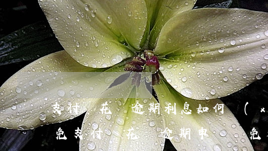 支付寶花唄逾期利息如何協(xié)商減免 支付寶花唄逾期申請減免利息罰息