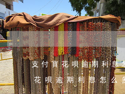 支付寶花唄逾期利息怎么多少立案-支付寶花唄逾期利息怎么多少立案了