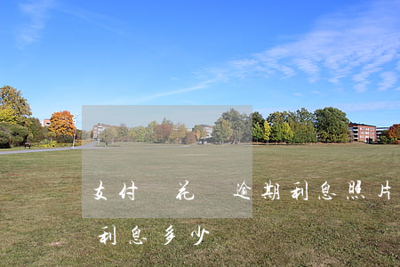 支付寶花唄逾期利息照片-支付寶花唄逾期利息多少