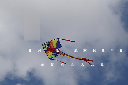 支付寶花唄逾期利息率(支付寶螞蟻借唄和花唄逾期利息怎么算)
