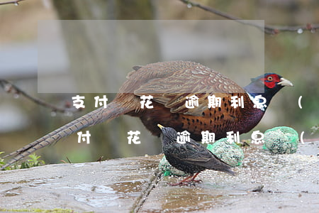 支付寶花唄逾期利息計(jì)算公式-支付寶花唄逾期利息計(jì)算公式是什么
