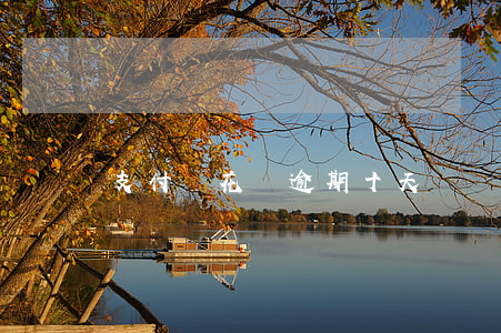 支付寶花唄逾期十天