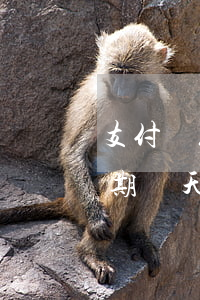 支付寶花唄逾期十天上征信嗎(支付寶花唄逾期幾天會上征信)