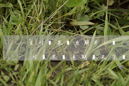 支付寶花唄逾期半小時(shí)會怎樣(支付寶花唄逾期幾天了會怎么樣嗎)