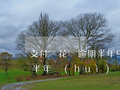支付寶花唄逾期半年900(支付寶花唄逾期半年會(huì)給家里人打電話嗎)