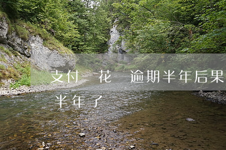 支付寶花唄逾期半年后果-支付寶花唄逾期半年了