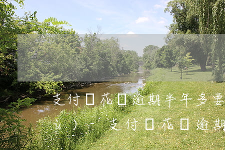 支付寶花唄逾期半年多要多久才能恢復(fù)?-支付寶花唄逾期半年多要多久才能恢復(fù)正常