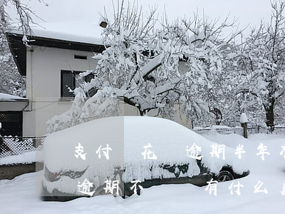 支付寶花唄逾期半年有什么后果(支付寶花唄逾期不還會有什么后果)