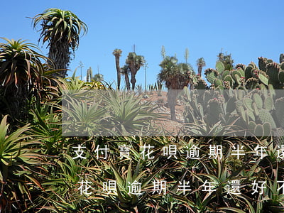 支付寶花唄逾期半年還好不好開通-支付寶花唄逾期半年還好不好開通借唄