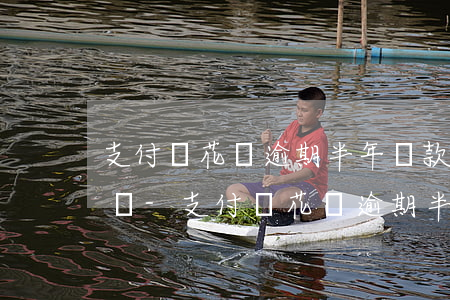 支付寶花唄逾期半年還款會(huì)怎么樣-支付寶花唄逾期半年還款會(huì)怎么樣嗎