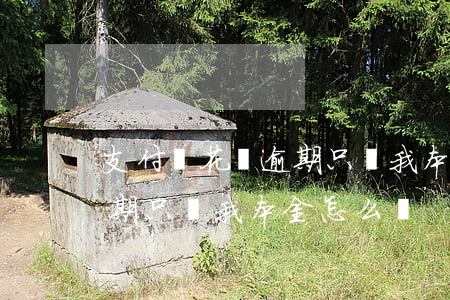 支付寶花唄逾期只還我本金-支付寶花唄逾期只還我本金怎么辦