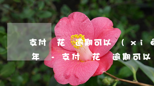 支付寶花唄逾期可以協(xié)商延期1年嗎-支付寶花唄逾期可以協(xié)商延期1年嗎