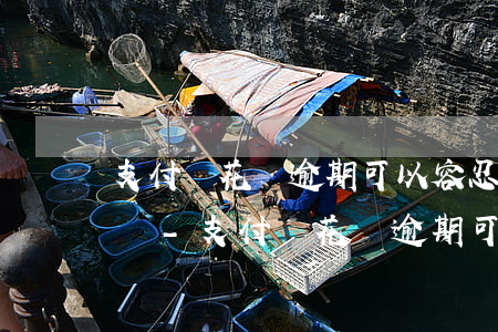 支付寶花唄逾期可以容忍多長時(shí)間-支付寶花唄逾期可以容忍多長時(shí)間的逾期