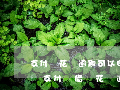 支付寶花唄逾期可以申請(qǐng)減免嗎(支付寶借唄花唄逾期可以協(xié)商減免嗎)