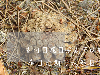 支付寶花唄逾期可以解綁銀行卡嗎-支付寶花唄逾期可以解綁銀行卡嗎安全嗎