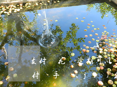 支付寶花唄逾期可以買房(花唄逾過期可以首付買手機(jī)么)
