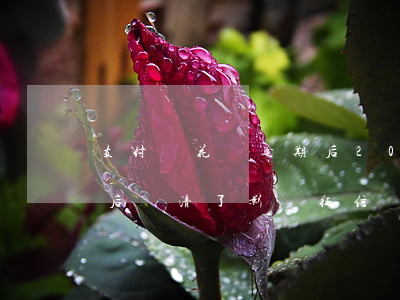 支付寶花唄逾期后200-支付寶花唄逾期后還清了影響征信嗎