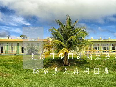 支付寶花唄逾期后多久再用-支付寶花唄逾期后多久再用額度