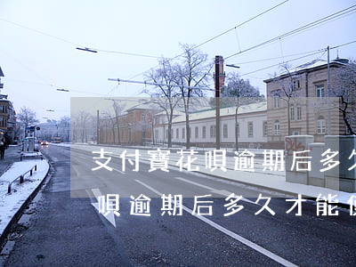 支付寶花唄逾期后多久才能使用-支付寶花唄逾期后多久才能使用額度