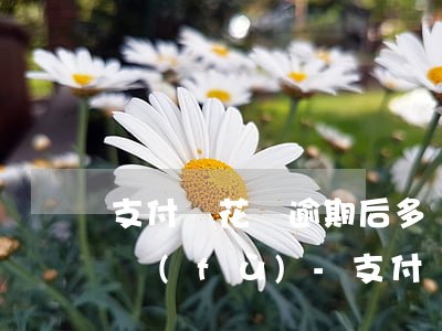 支付寶花唄逾期后多長時(shí)間能恢復(fù)-支付寶花唄逾期后多長時(shí)間能恢復(fù)使用