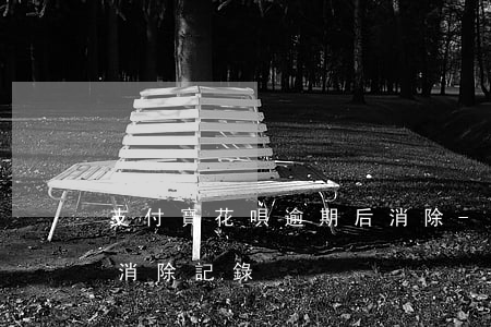 支付寶花唄逾期后消除-支付寶花唄逾期后消除記錄