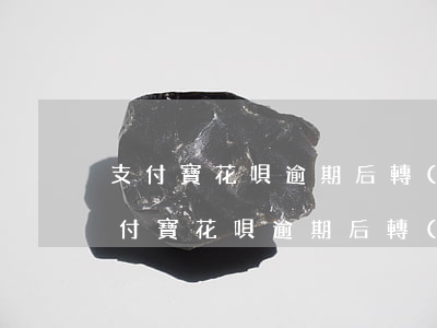 支付寶花唄逾期后轉(zhuǎn)賬-支付寶花唄逾期后轉(zhuǎn)賬有影響嗎