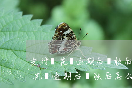 支付寶花唄逾期后還款后怎么消除-支付寶花唄逾期后還款后怎么消除記錄