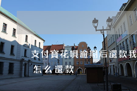 支付寶花唄逾期后還款(我的支付寶花唄逾期怎么還款)