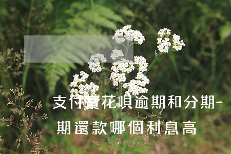 支付寶花唄逾期和分期-花唄逾期還款和分期還款哪個利息高