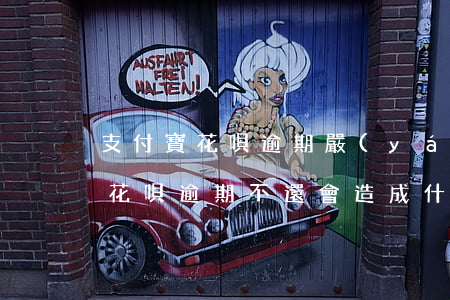 支付寶花唄逾期嚴(yán)重不-支付寶花唄逾期不還會造成什么樣的后果