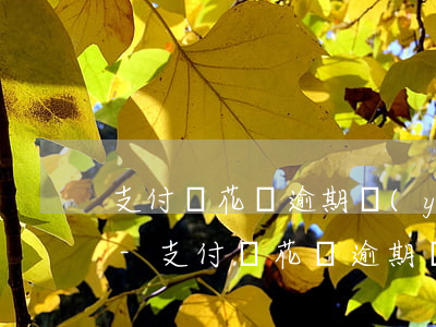 支付寶花唄逾期嚴(yán)重多久能解凍-支付寶花唄逾期嚴(yán)重多久能解凍啊