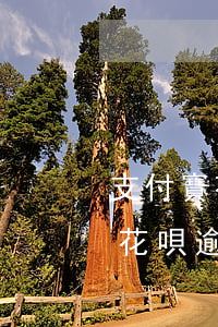 支付寶花唄逾期嚴重的話會走訪嗎-支付寶花唄逾期嚴重的話會走訪嗎知乎