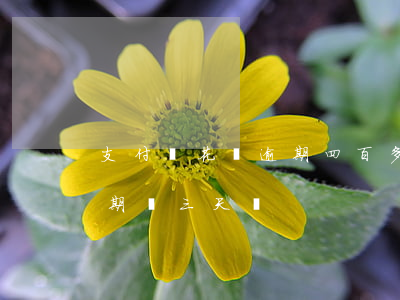 支付寶花唄逾期四百多天(支付寶花唄可以逾期兩三天嗎)