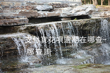 支付寶花唄逾期在哪查-支付寶花唄逾期在哪查詢