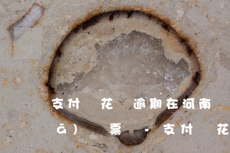 支付寶花唄逾期在河南會(huì)發(fā)傳票嗎-支付寶花唄逾期在河南會(huì)發(fā)傳票嗎是真的嗎