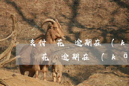 支付寶花唄逾期在開(kāi)通嗎-支付寶花唄逾期在開(kāi)通嗎安全嗎