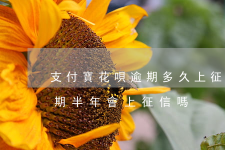 支付寶花唄逾期多久上征信?。ㄖЦ秾毣▎h逾期半年會上征信嗎）