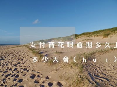 支付寶花唄逾期多久上征信(支付寶花唄逾期多少天會(huì)上征信記錄)