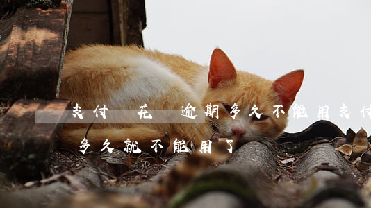 支付寶花唄逾期多久不能用(支付寶花唄逾期多久就不能用了)