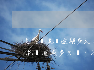 支付寶花唄逾期多久才會(huì)被起訴(花唄逾期多久會(huì)被起訴?花唄逾期被起訴)