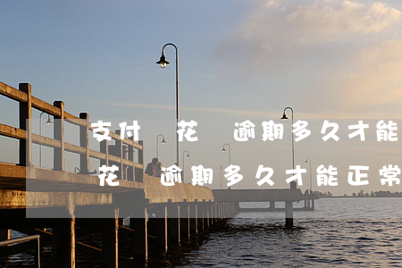 支付寶花唄逾期多久才能正常使用-支付寶花唄逾期多久才能正常使用呢