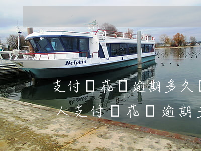 支付寶花唄逾期多久撥打聯(lián)系人(支付寶花唄逾期多久會(huì)打電話聯(lián)系本人)