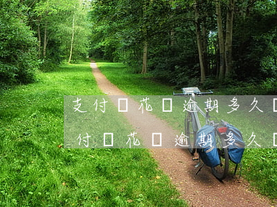 支付寶花唄逾期多久會(huì)催還-支付寶花唄逾期多久會(huì)催還款