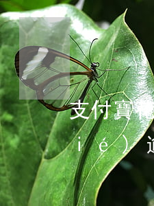 支付寶花唄逾期多久會(huì)凍結(jié)（逾期多久會(huì)被凍結(jié)花唄）
