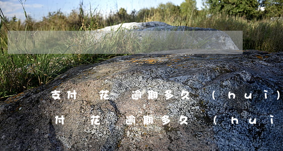 支付寶花唄逾期多久會(huì)漲利息 支付寶花唄逾期多久會(huì)有利息