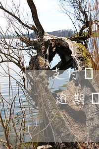 支付寶花唄逾期多久會影響信用（支付寶花唄逾期過信用分不會長）