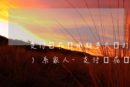 支付寶花唄逾期多久會打電話聯(lián)系家人-支付寶花唄逾期多久會打電話聯(lián)系家人呢