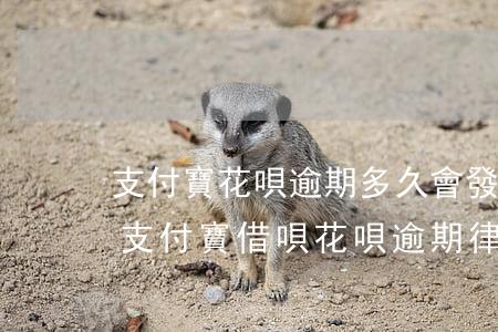 支付寶花唄逾期多久會發(fā)律師函-支付寶借唄花唄逾期律師函來了后果嚴重嗎