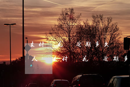 支付寶花唄逾期多久會聯(lián)系家人-支付寶花唄逾期多久會聯(lián)系家人或朋友